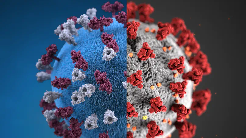 Fine-scale spatial clustering of measles nonvaccination that increases outbreak potential is obscured by aggregated reporting data
